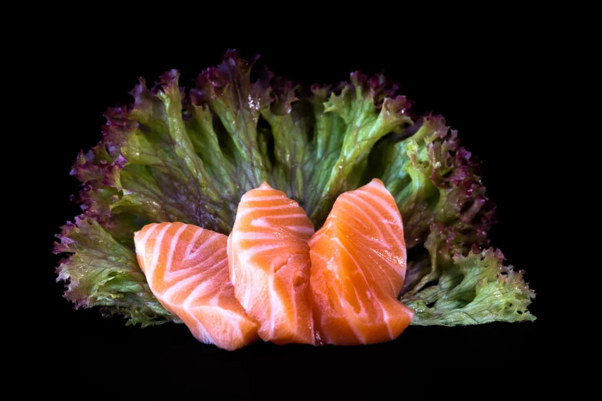 Sake Sashimi
